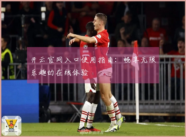 开云官网入口使用指南：畅享无限乐趣的在线体验
