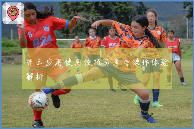 开云应用使用技巧分享与操作体验解析